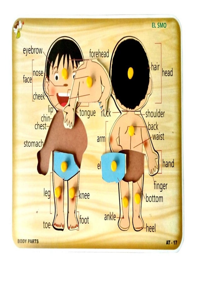 EL SMO Human Body Parts Wooden Puzzle Games and Learning Educational Board for Kids Wooden Puzzle for Creative Kids with knob - Image 5